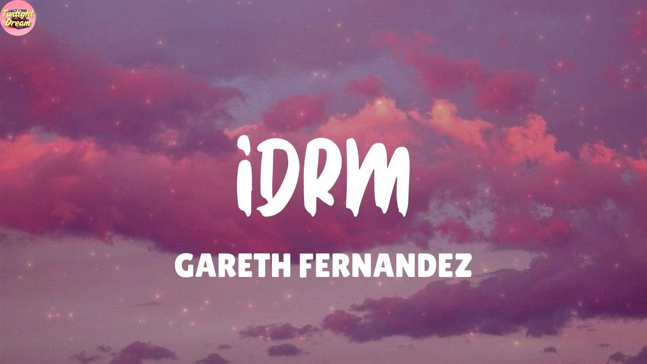 idrm - GARETH FERNANDEZ (Lyrics) Tinashe, Disco Lines (Mix)