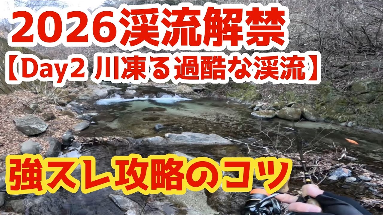 【2026渓流解禁 Day2】強スレ攻略のコツ｜川凍る過酷な渓流編　#渓流ルアー #渓流釣り #渓流ルアー初心者 