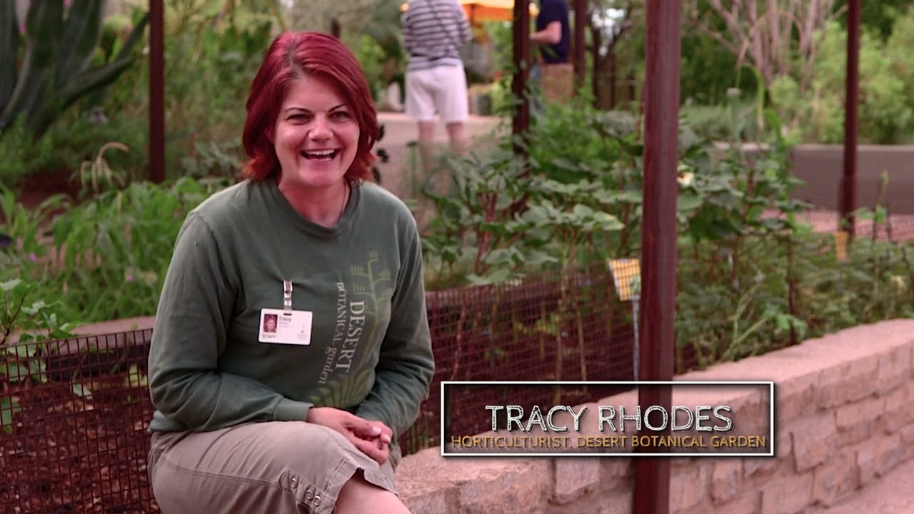 Growing a Greener World Episode 806 - Gardening in the Desert Southwest