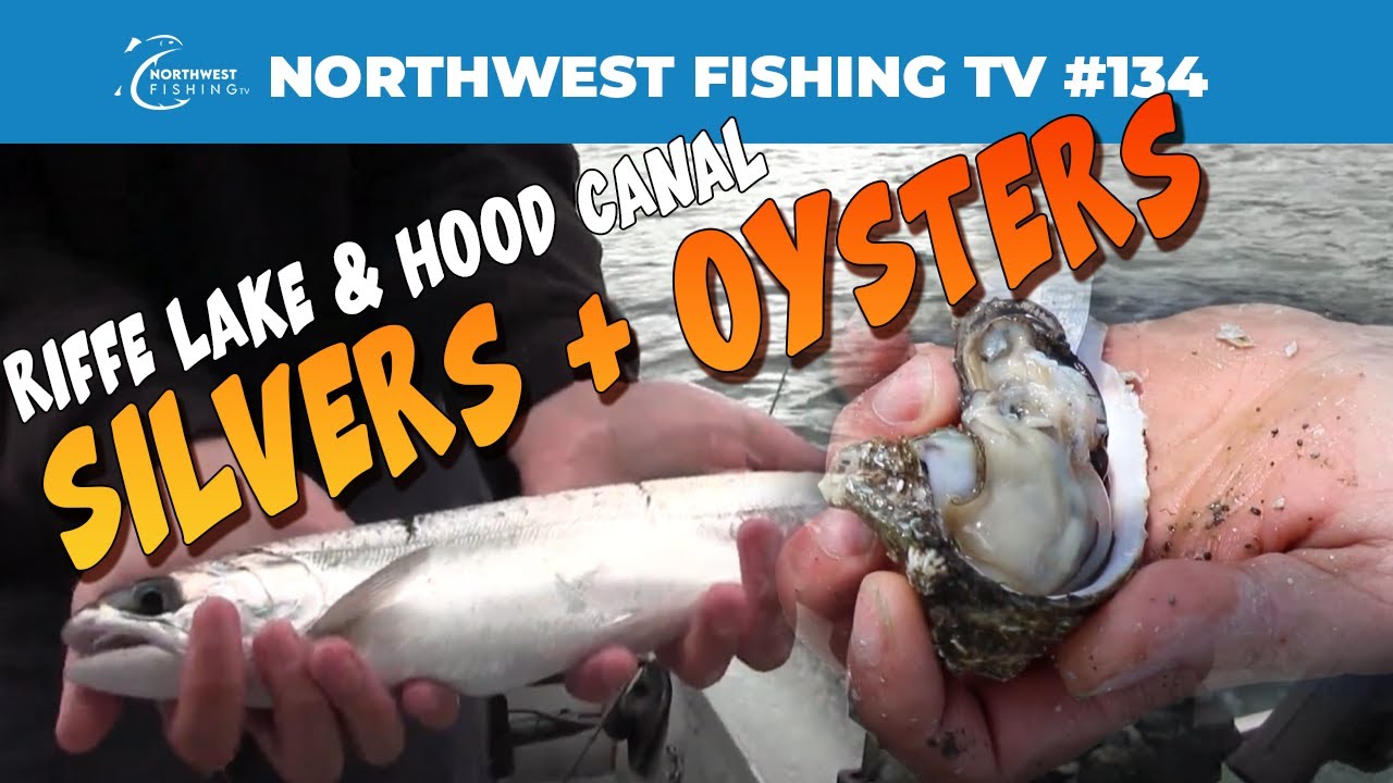 Серебряные мальки озера Рифф и устрицы канала Худ | Northwest Fishing TV #134