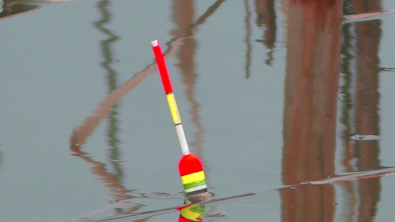 Рыбалка  Карась клюет в дождь  Ловля на поплавок весной в апреле. My fishing