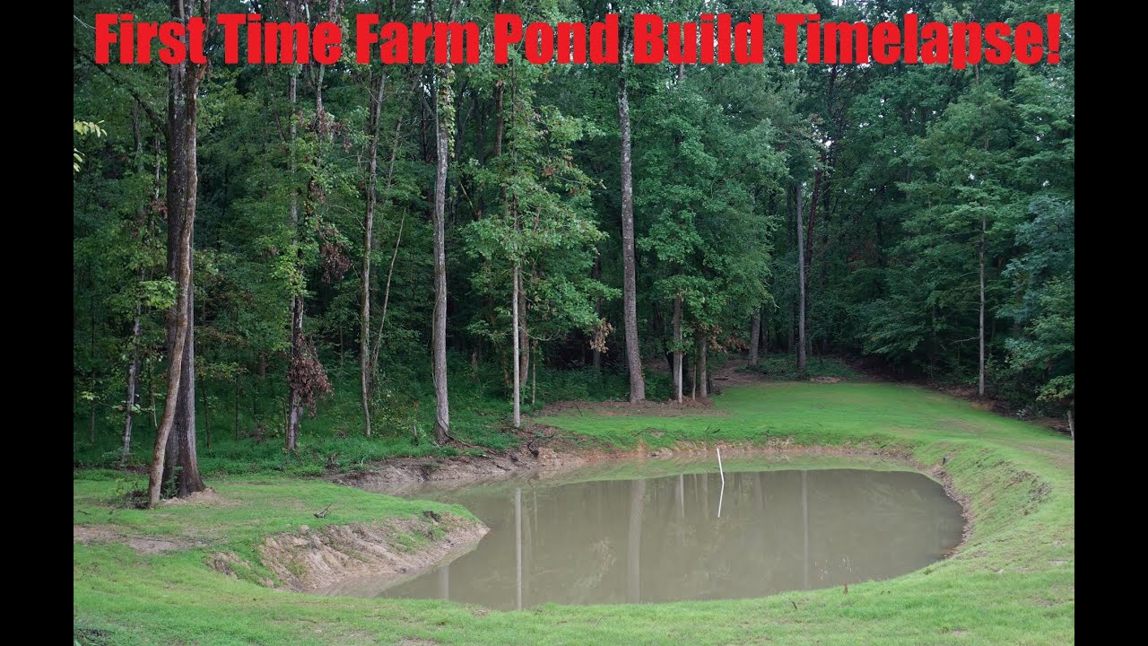 First Time Farm Pond Build in the Woods!