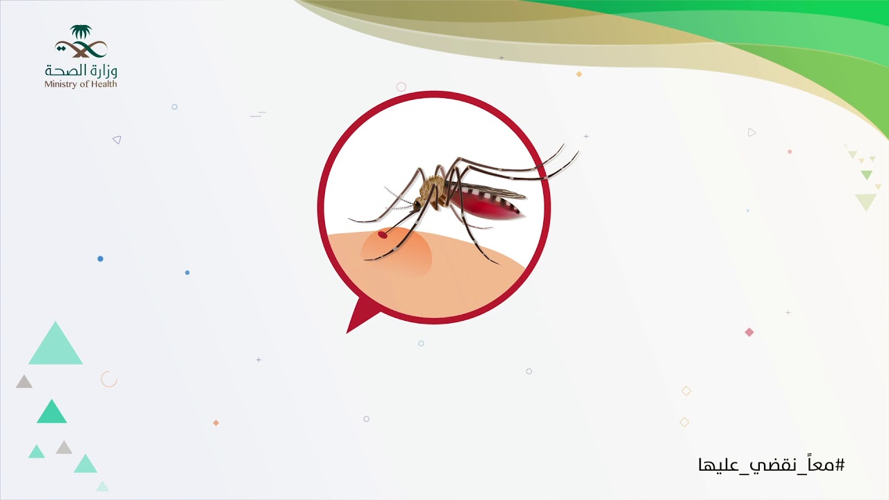 ماذا تعرف عن بعوض الزاعجة المصرية