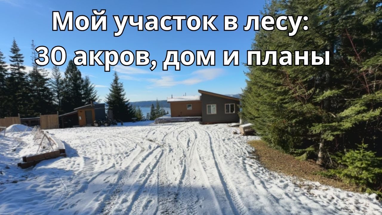 Мой участок в лесу: 30 акров, дом и планы