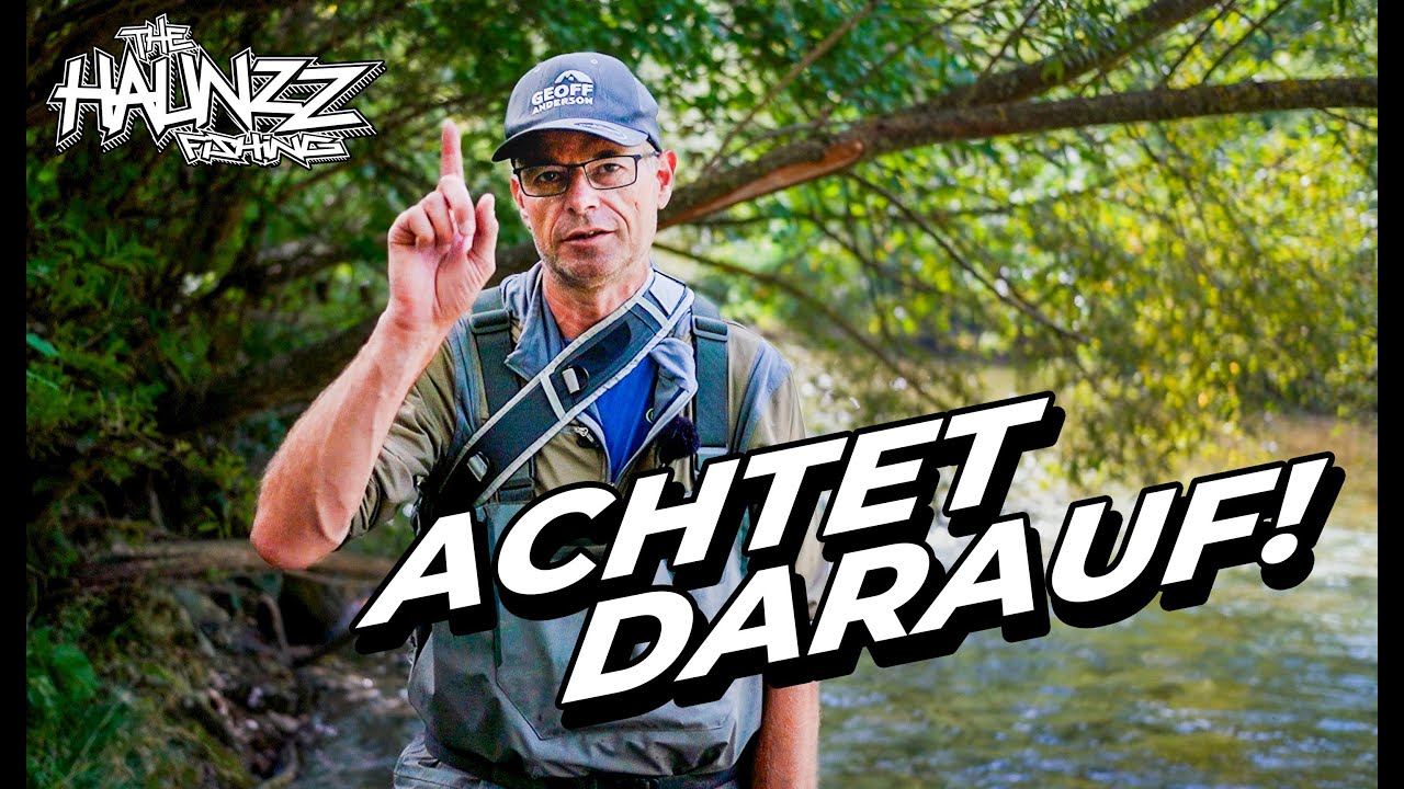 Fliegenfischen Tipps & Tricks für Einsteiger! Petri Heil!