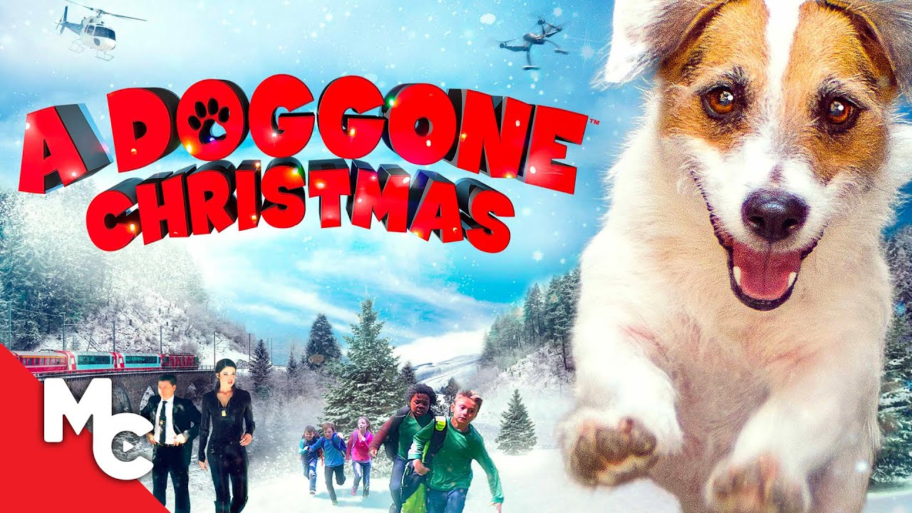 A Doggone Christmas | Full Christmas Movie | Hallmark