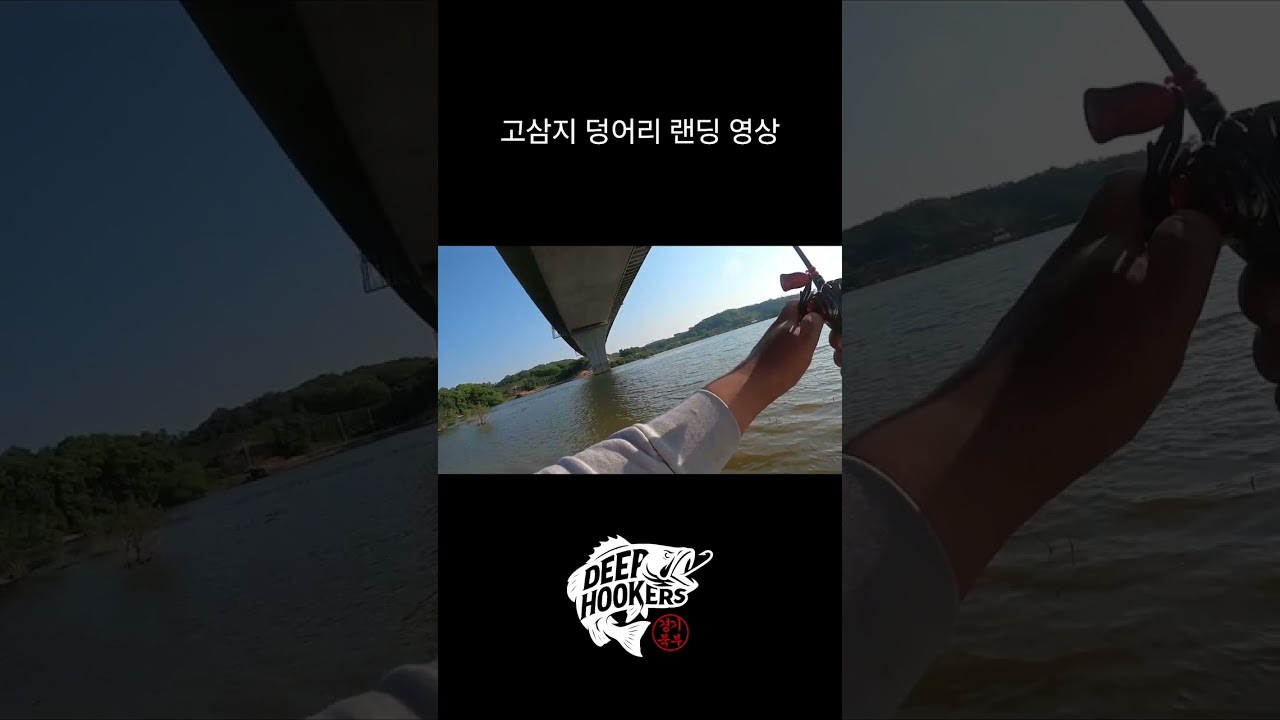 고삼지 워킹 스피너베이트를 낚아챈 덩어리 랜딩 #bassfishing #koreabassfishing #낚시 #루어 #루어낚시 #배스 #배스낚시 #장성호