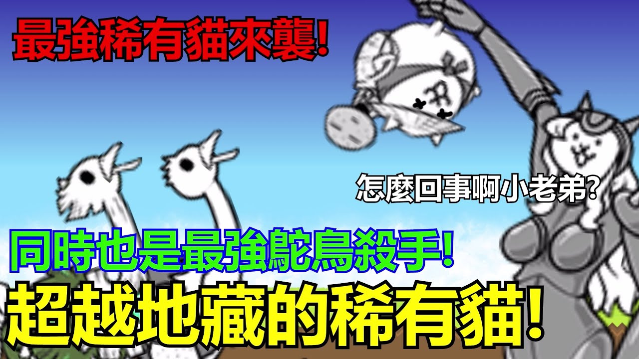 《貓咪大戰爭》從新手期一路強到後期的稀有神貓!不可低估的美模貓! | 星帆貓咪介紹#4