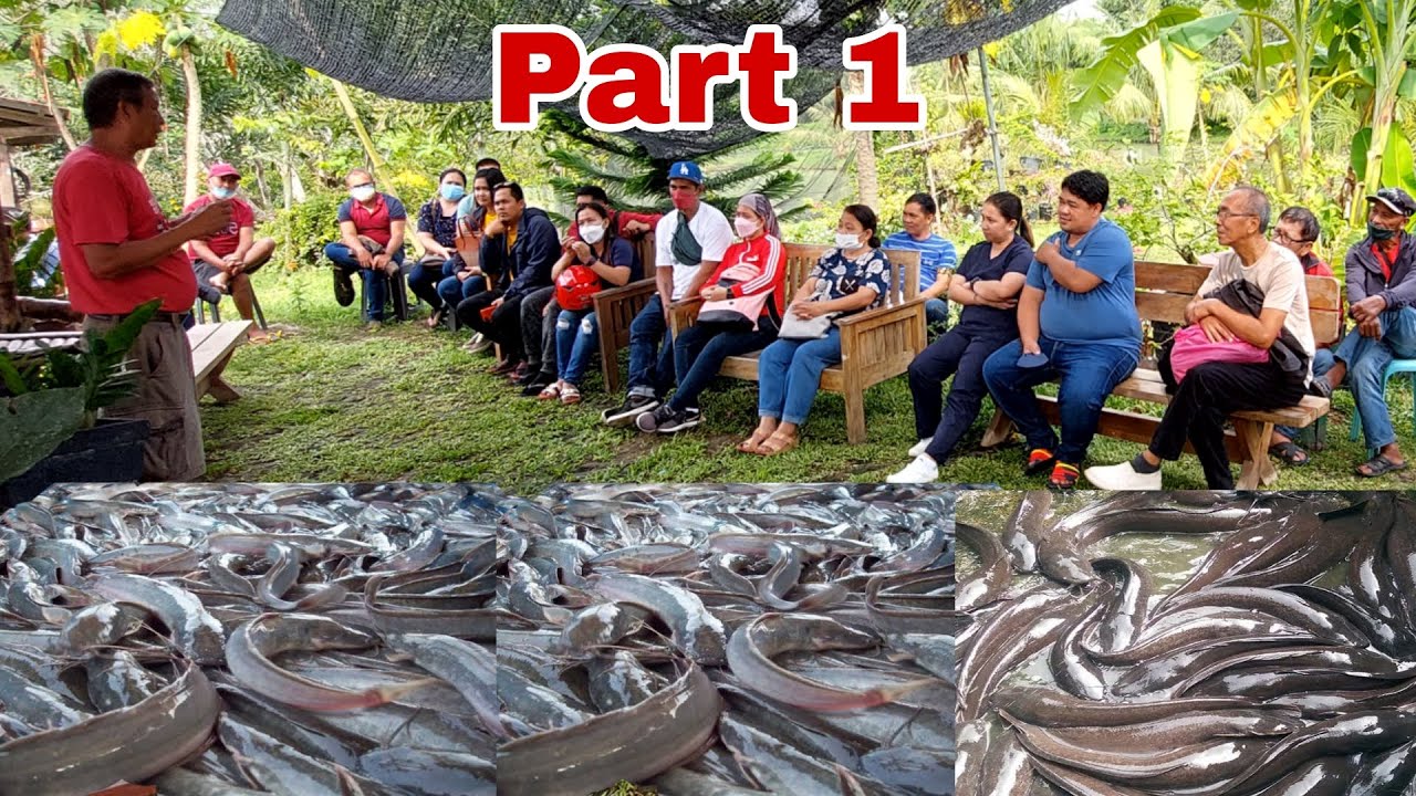 How to Start Hito Farming - Experts Guide | Subcribers Seminar Part 1