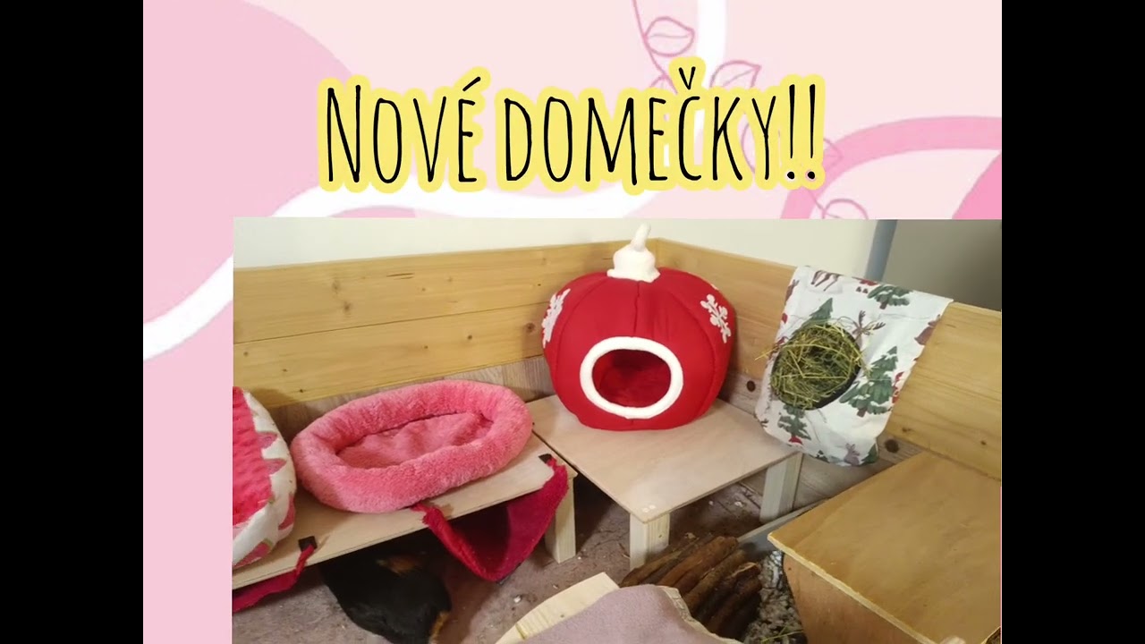 Morčecí bydlení na míru