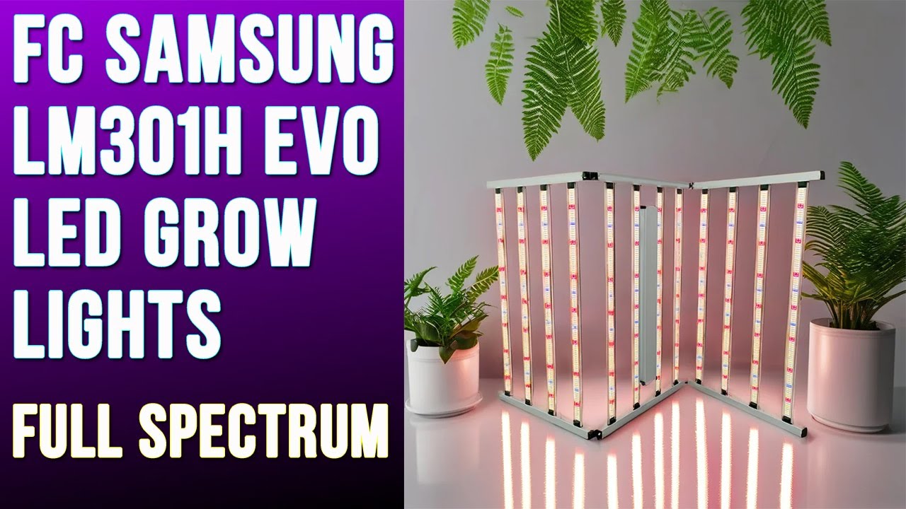 FC Samsung LM301H EVO led grow lights