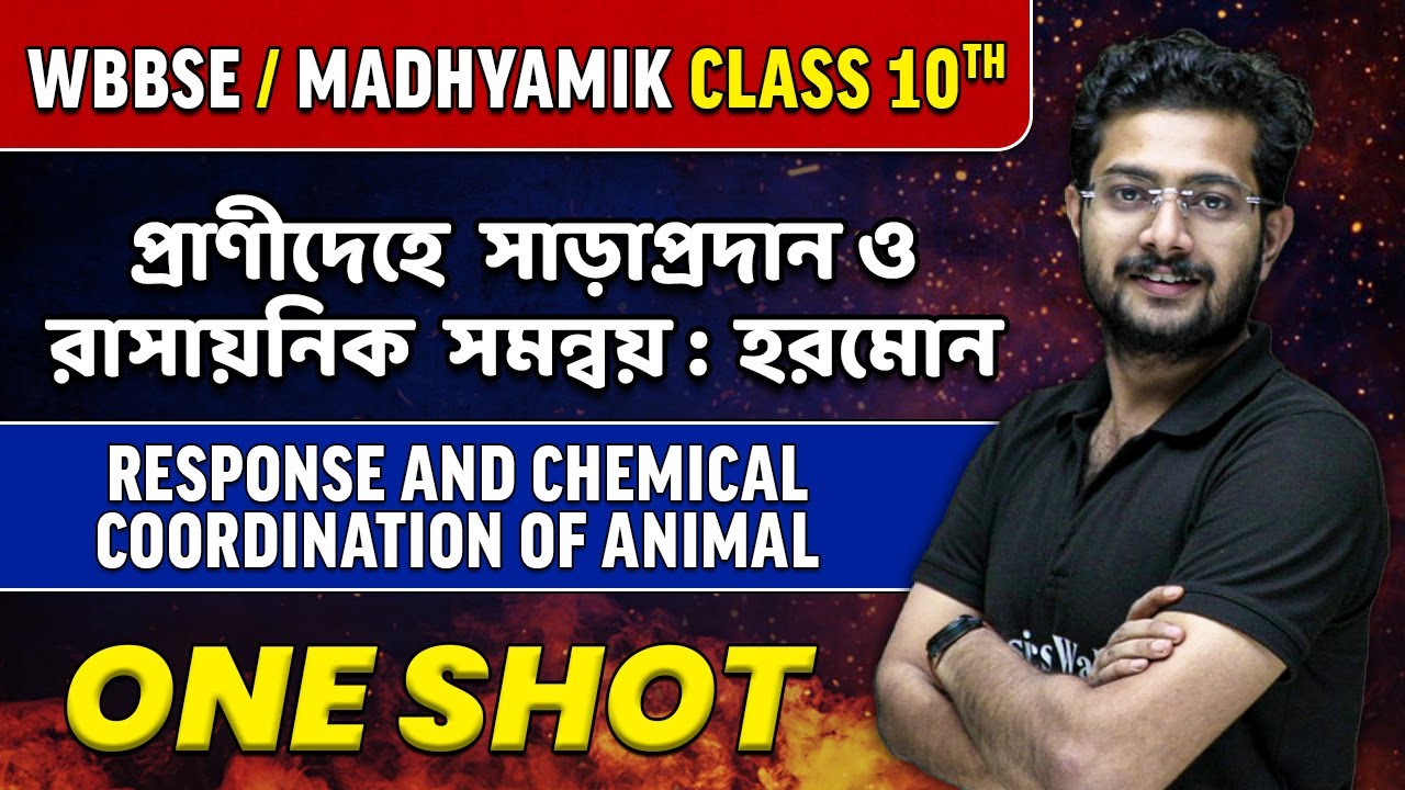 প্রাণীদেহে সাড়াপ্রদান ও রাসায়নিক সমন্বয় : হরমোন in One Shot | WBBSE/ Madhyamik