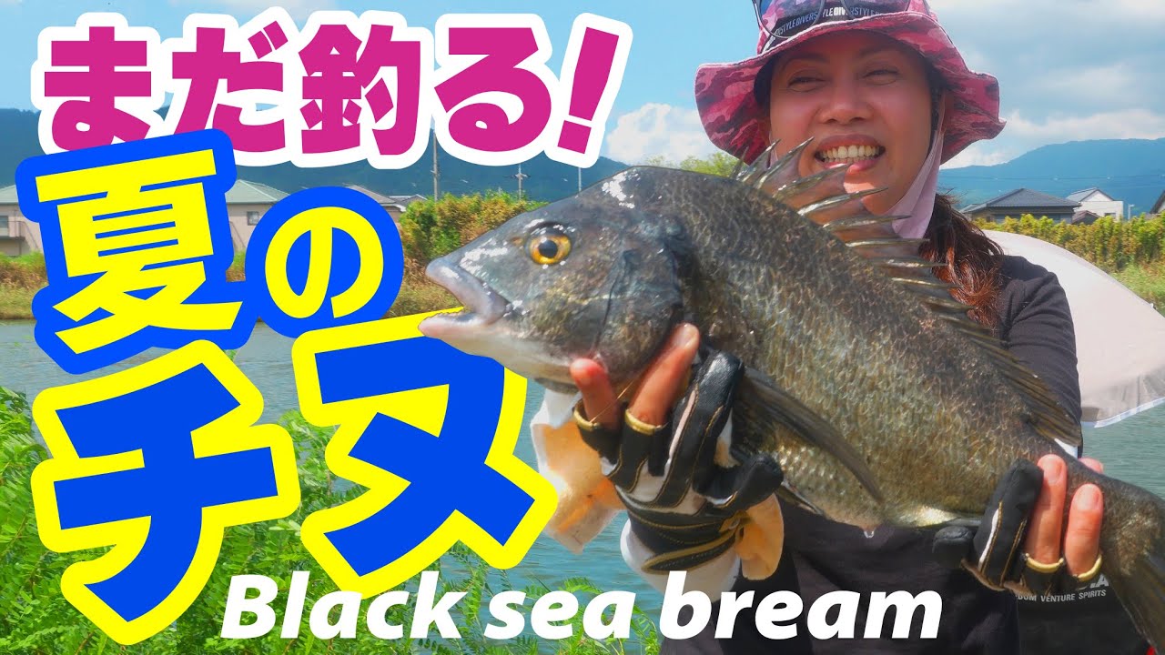 【フカセ釣り】夏のチヌを釣れ！ 【フィリピーナの釣り】