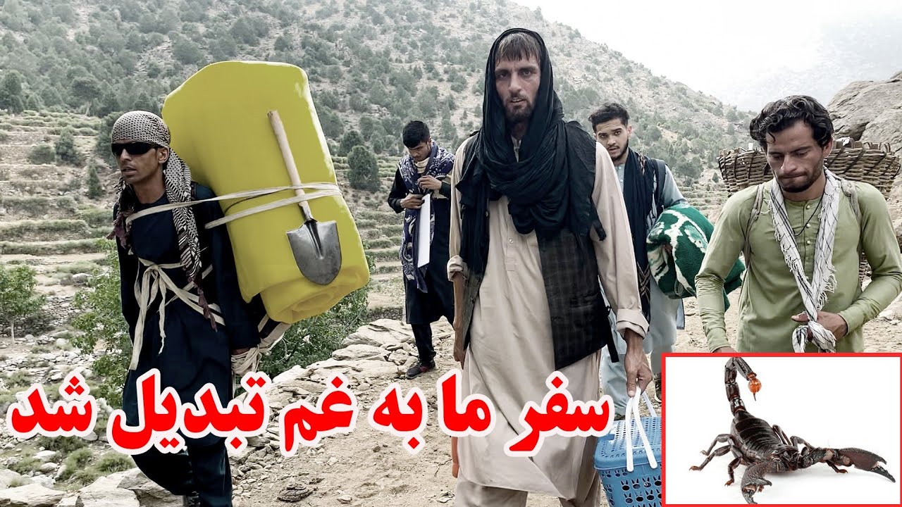 ادامه سفر جنگل وحشت - شبیر را گژدم گزید 🦂 لطفا برایش دعا کنید 🙏