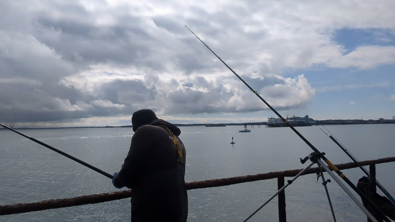 Spring Species Chase Holyhead Breakwater North Wales