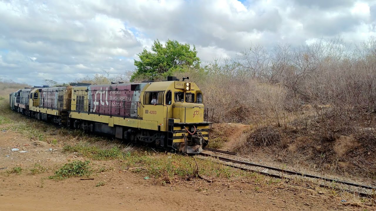 La vai o trem 🚂 🚃 📢 | Carregado com 31 vagões/ pranchas 