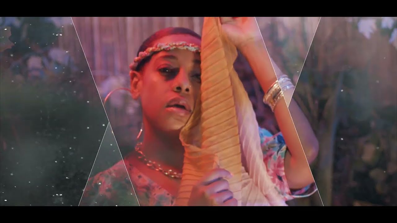Issa Le Mze ft Bysnes's Fleur Clip officiel