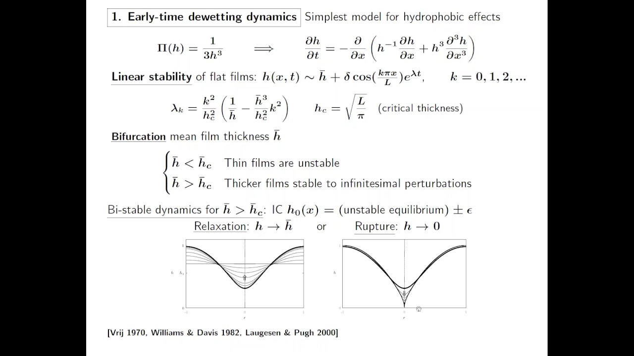 Tom Witelski - Multiscale Dynamics Of Dewetting Fluid Films