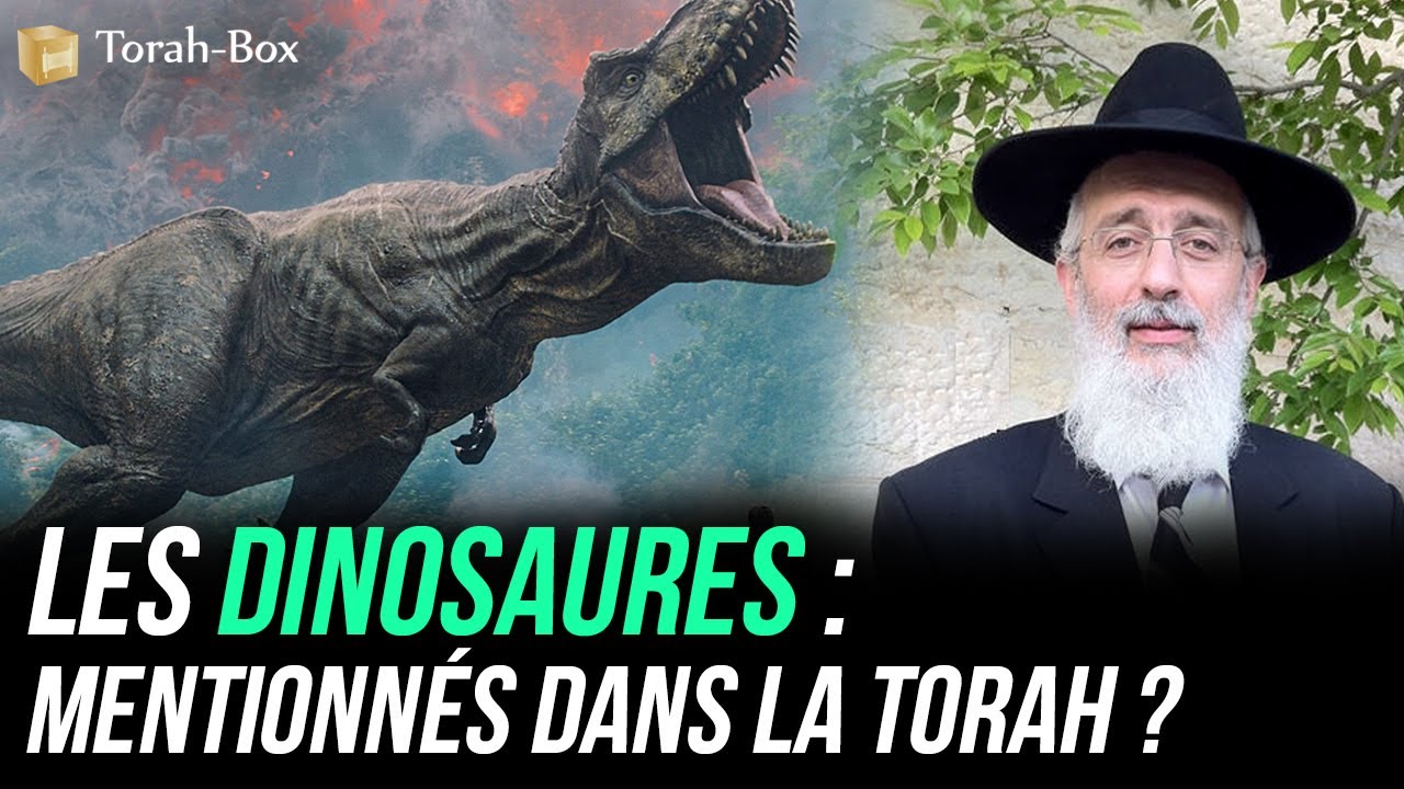 Les Dinosaures, mentionnés dans la Torah ? (Rav Bitton)