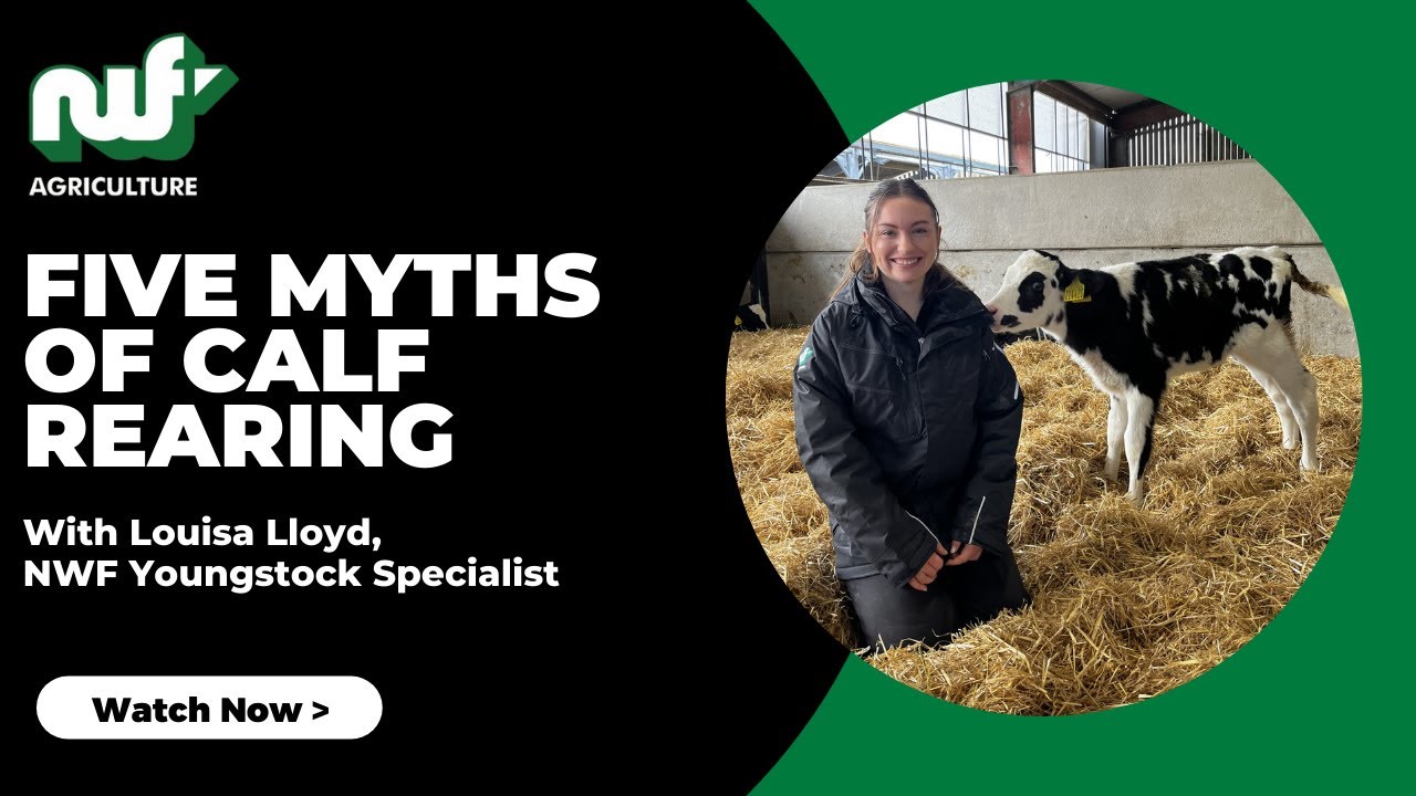 NWF Agriculture - Five Myths of Calf Rearing
