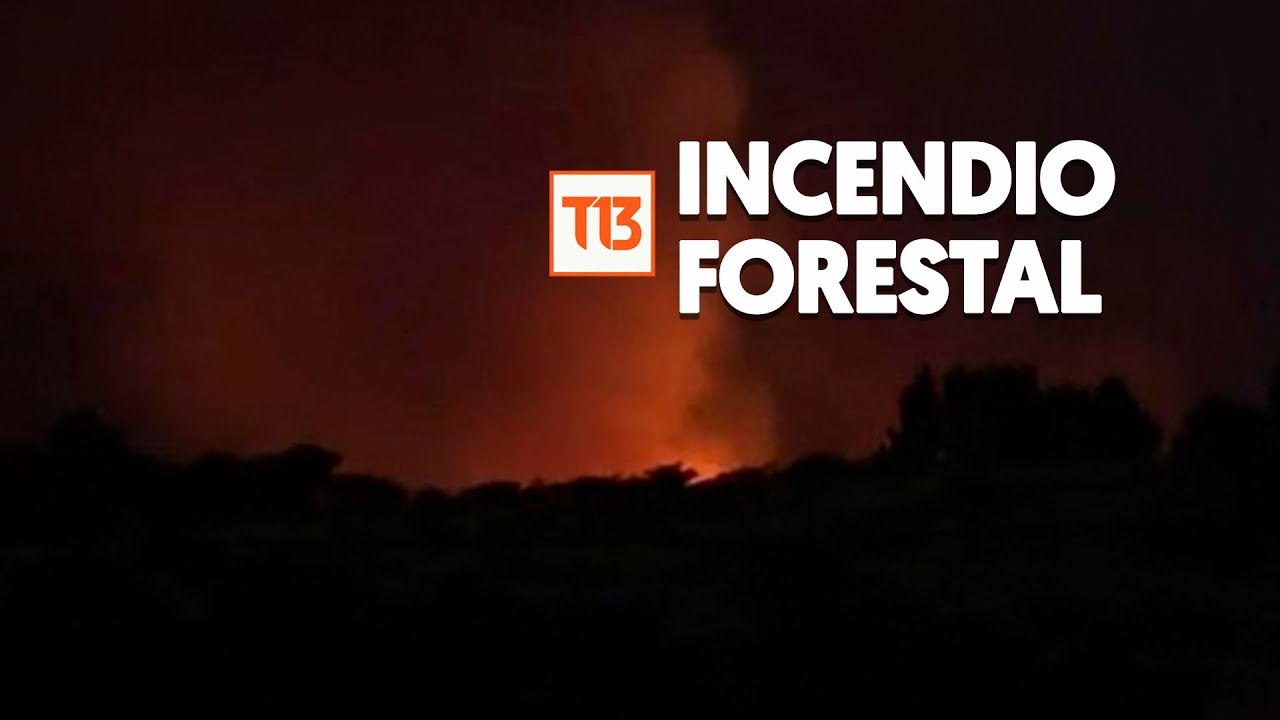 Litueche: más de 600 hectáreas arrasadas y seis casas destruidas