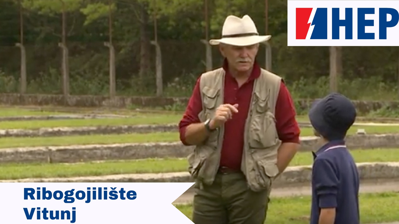 Ovdje se proizvodi 60.000kg ribe godi&scaron;nje! | Veliki koraci malog Lovre  | HEP