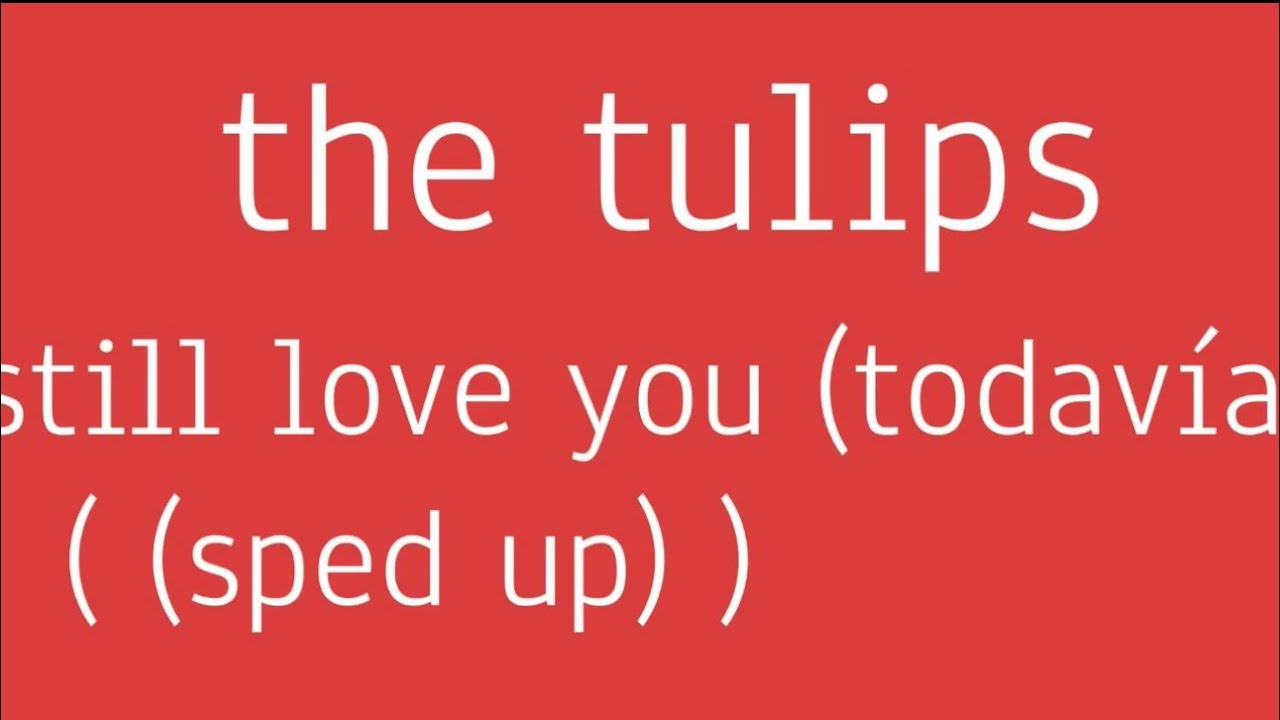 The Tulips - Still Love You (Todavìa) ((sped up))