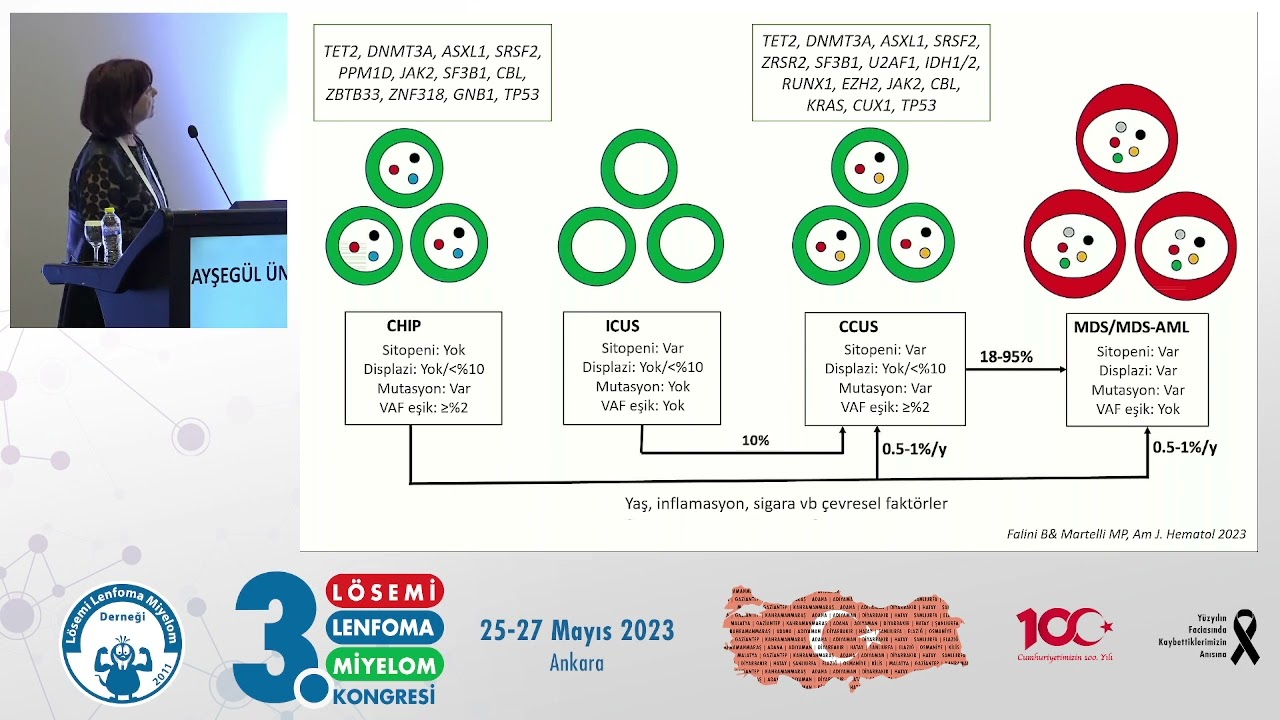 Akut Lösemide Sınıflama - Ayşegül Üner