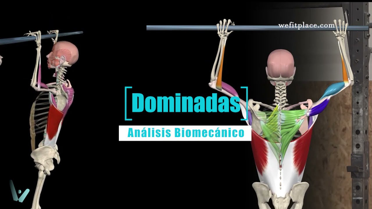 Como  HACER DOMINADAS para ESPALDA Y BRAZOS 💪 - Análisis Biomecánico 👍 EN 1 MINUTO 📍