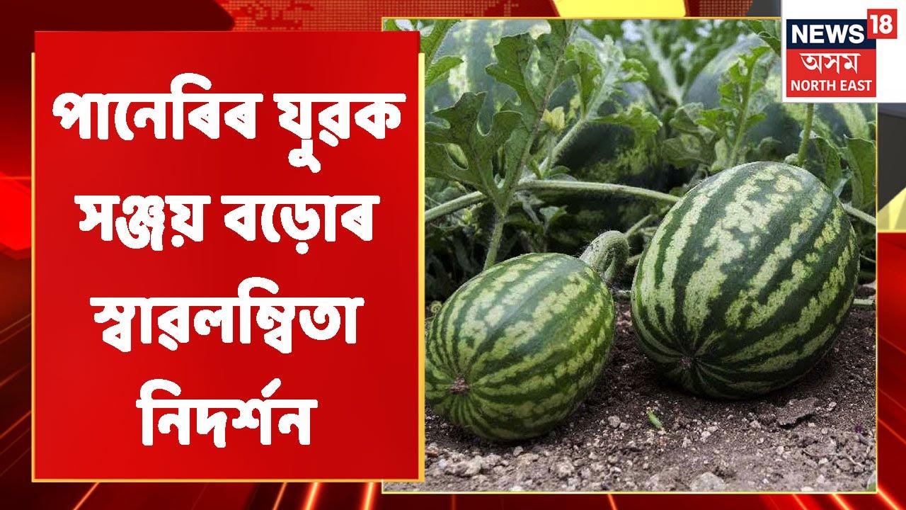 Udalguri News | ওদালগুৰিৰ পানেৰিৰ যুৱক সঞ্জয় বড়োৰ কৃষি বিপ্লৱ