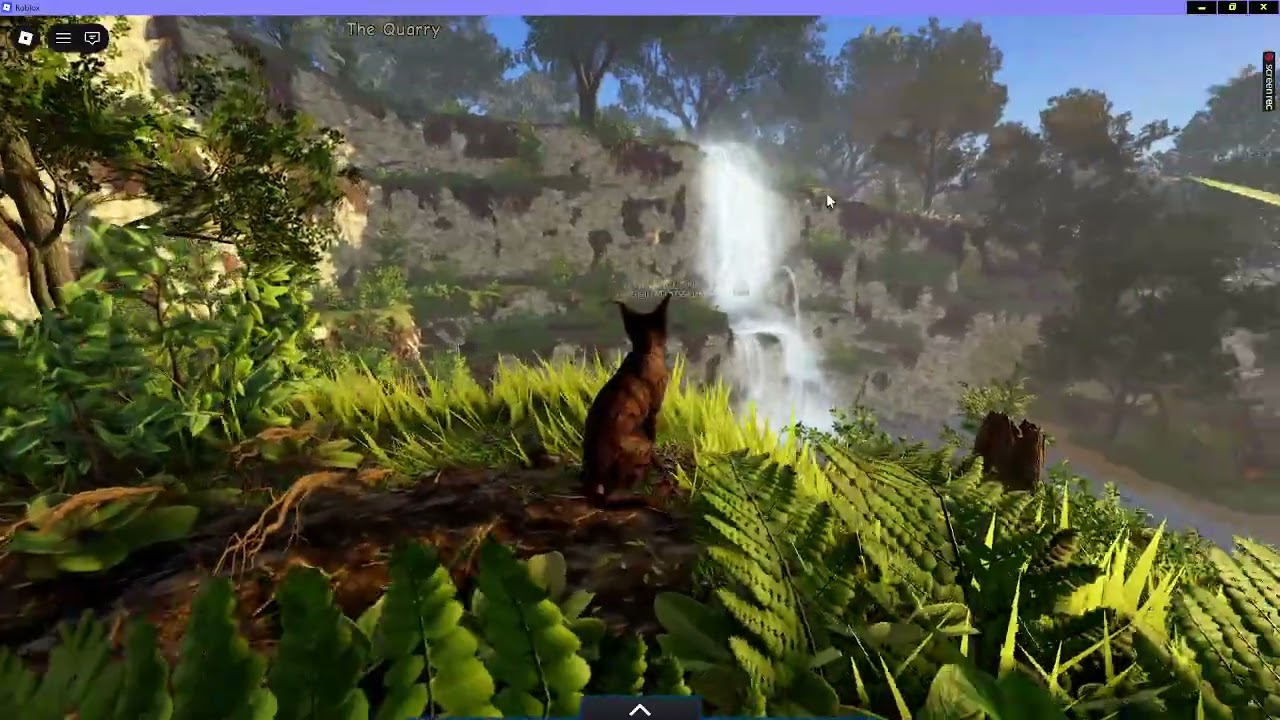 Exploring Warrior Cats: Lake Territory!