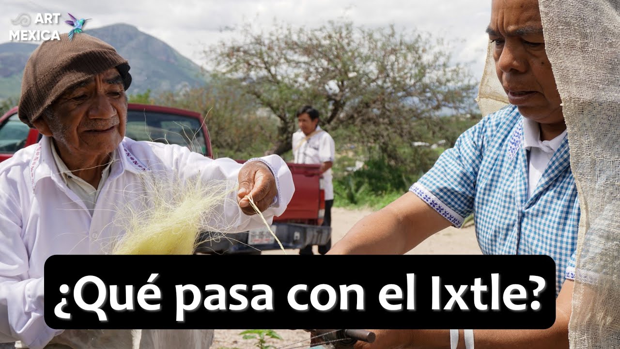¿Sabes que es el Ixtle?