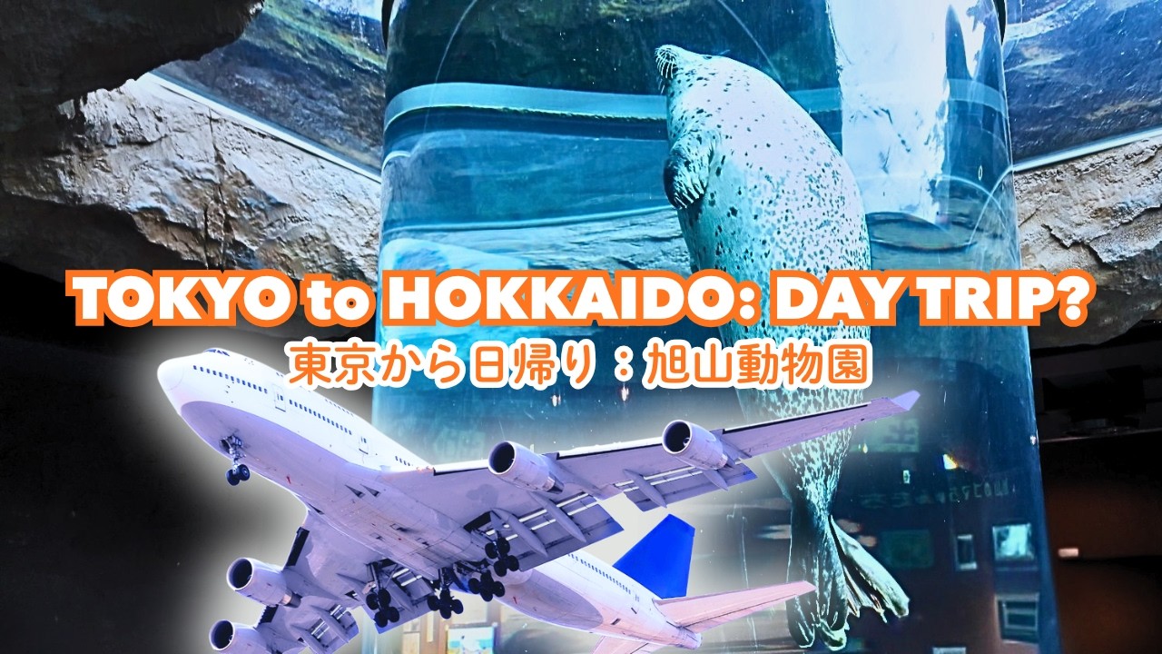 【日帰り旅行】旭山動物園🐵🦒徹底紹介‼️東京から日帰りで楽しむ北海道［旭川］ASAHIYAMA ZOO