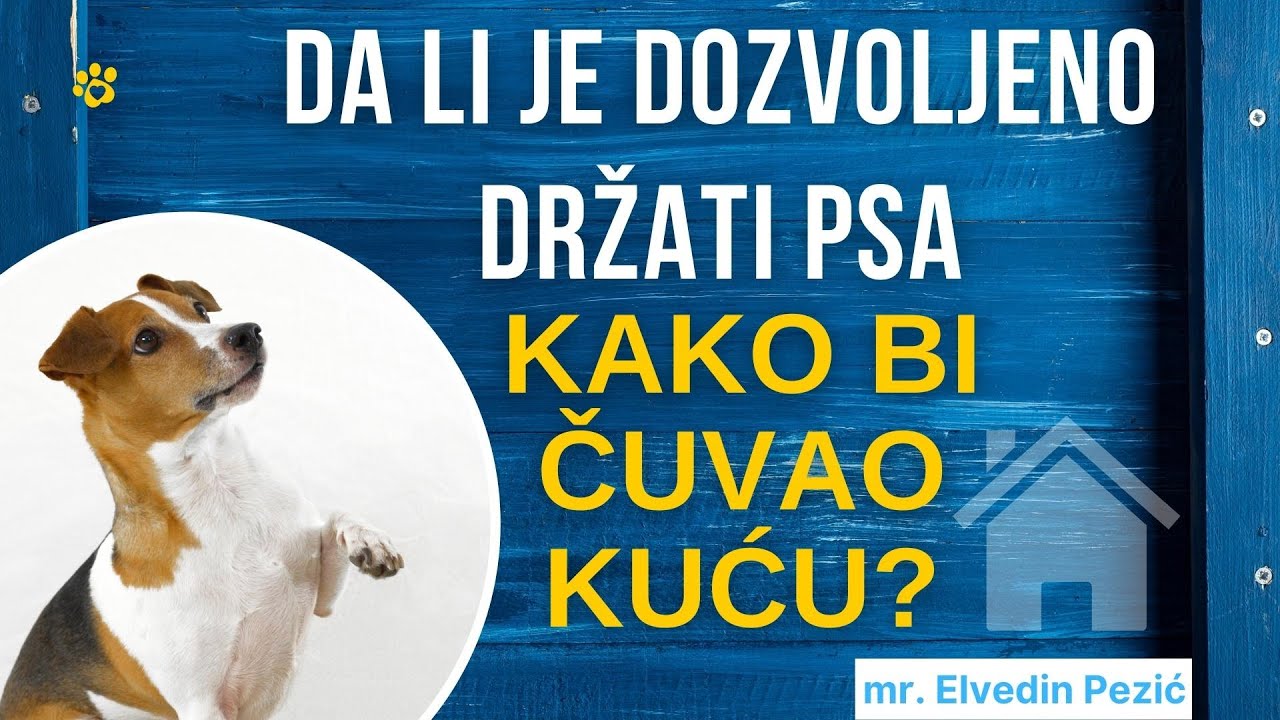 Da li je dozvoljeno držati psa radi čuvanje kuće? - mr. Elvedin Pezić