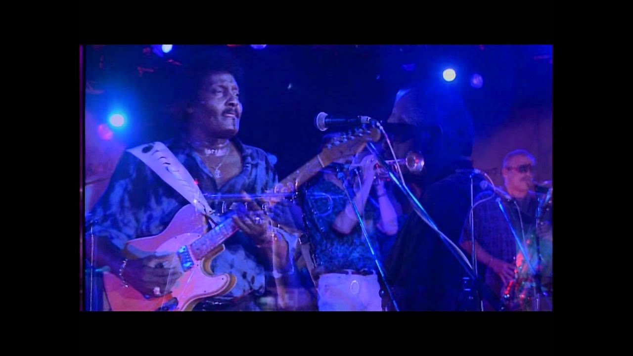 Albert Collins - 05 Too Many Dirty Dishes HD