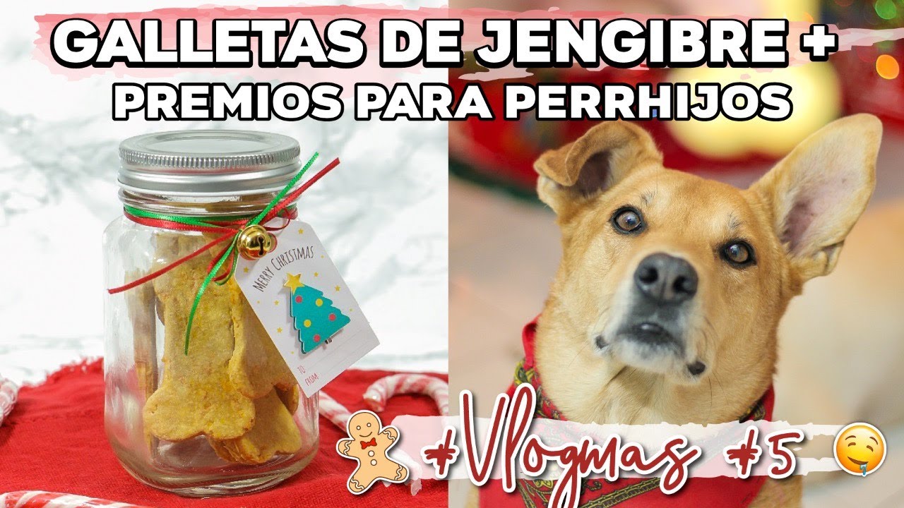 GALLETAS DE JENGIBRE VEGANAS Y PREMIOS PARA PERRHIJOS #VLOGMAS #5 ROASTING VEGGIES