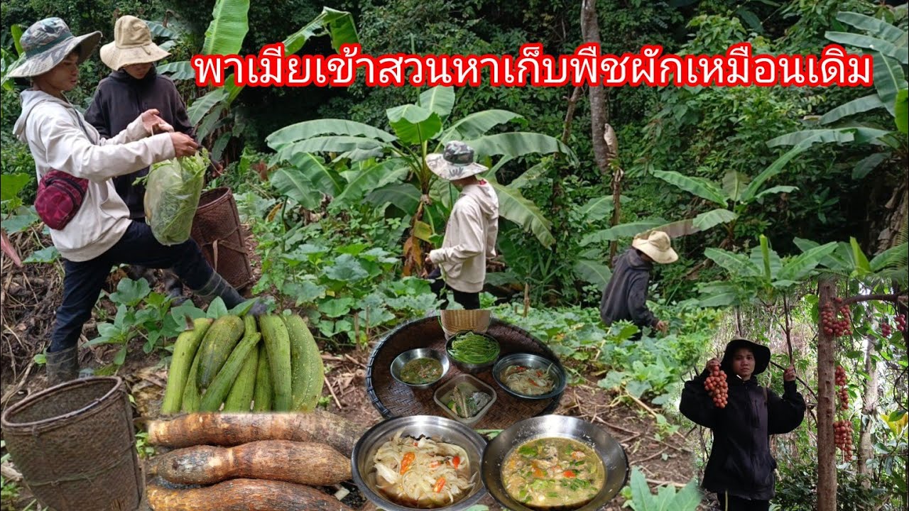 พาเมียเข้าสวนหาเก็บพืชผัก แล้วกลับมาทำกับข้าวที่บ้าน ป่นปลาดุก,ลวกผัก,ตำบักหุ่ง-บ่าวยืง