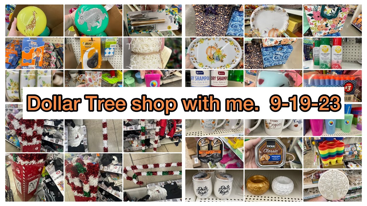 Dollar Tree Shop with me Tuesday 9-19-23