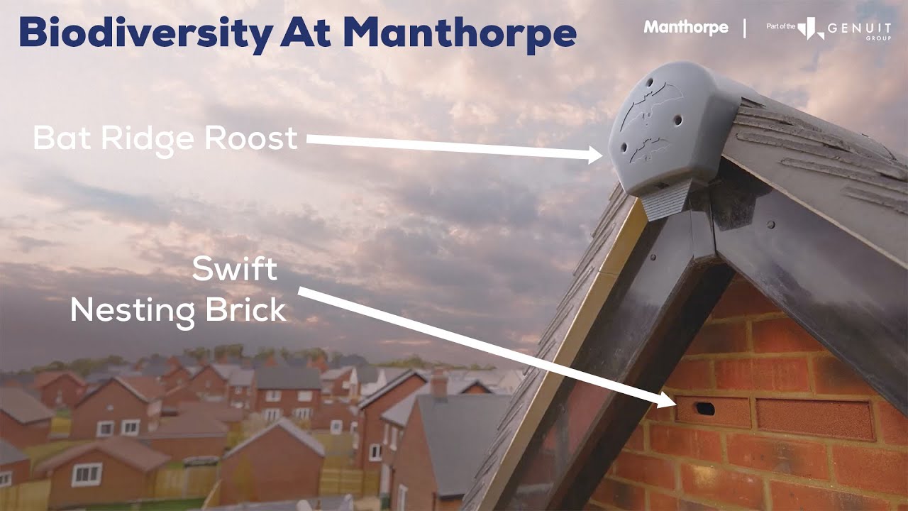 Biodiversity At Manthorpe - Swift Bricks and Bat Ridge Roosts