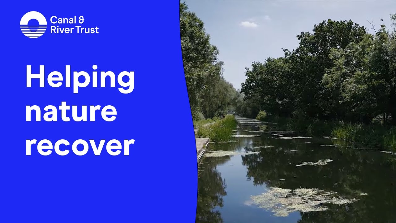 Nine ways canals can fight climate change: Helping nature recover