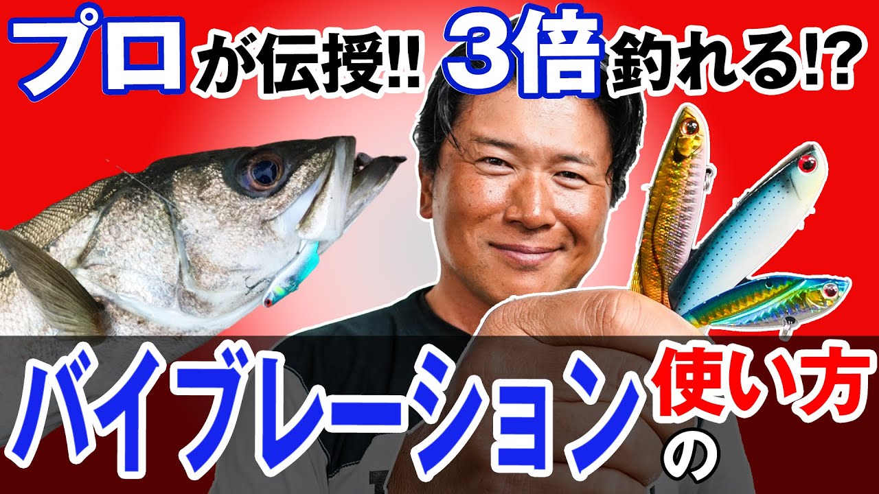 【バイブレーションの使い方】素材選び・重さ選び・３つの釣法！基本ルアーで差が歴然！オヌマンのシーバス塾