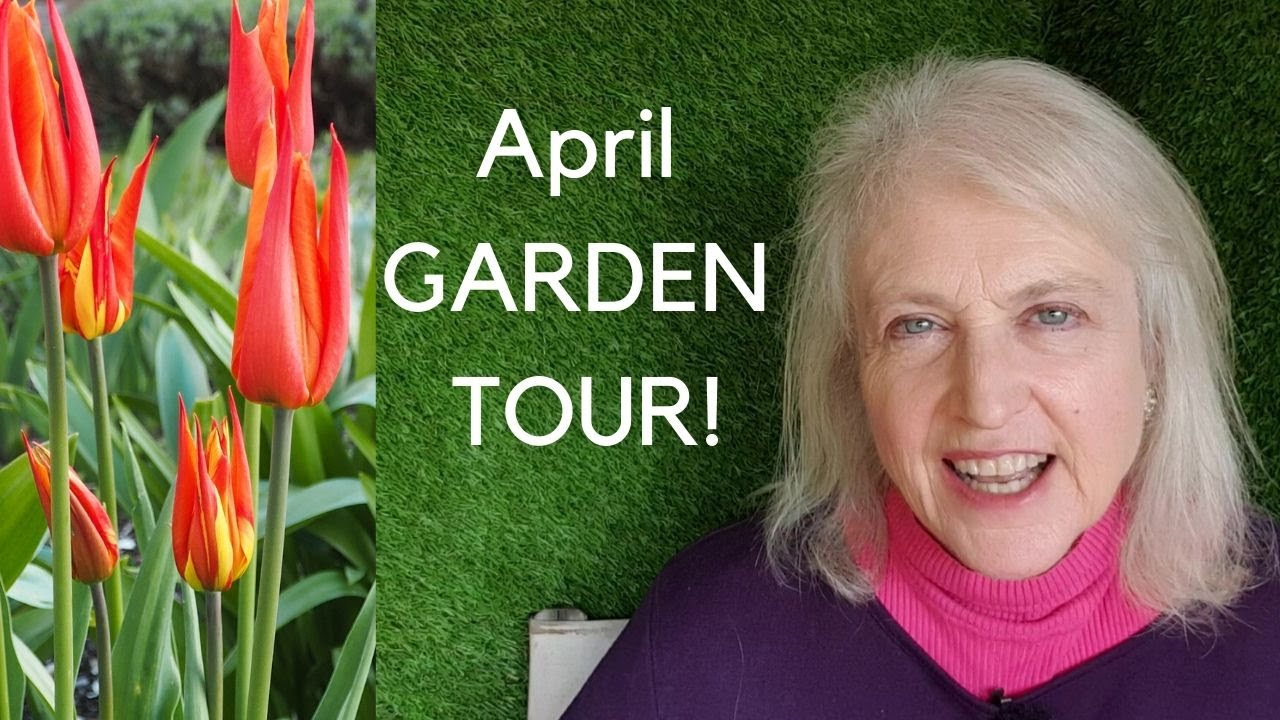 Garden tour April - including small trees with good spring blossom