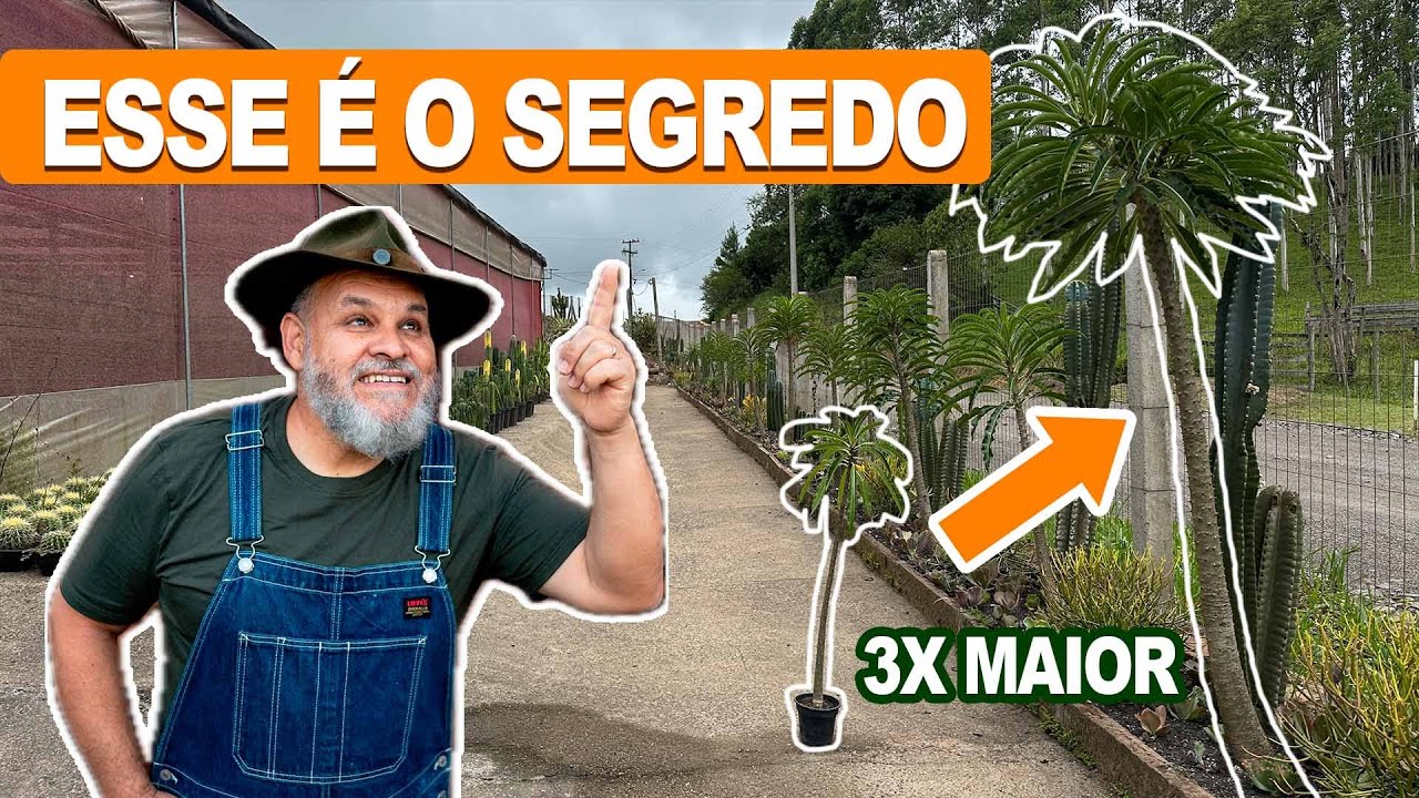 005 | O Segredo para plantar crescer 3x mais rápido!