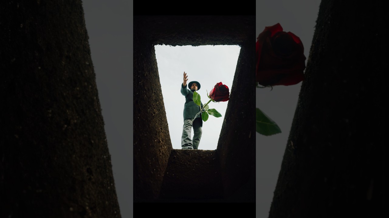 The only time a man is given a flower 🌹 shot w @NikonEurope #nikonz9