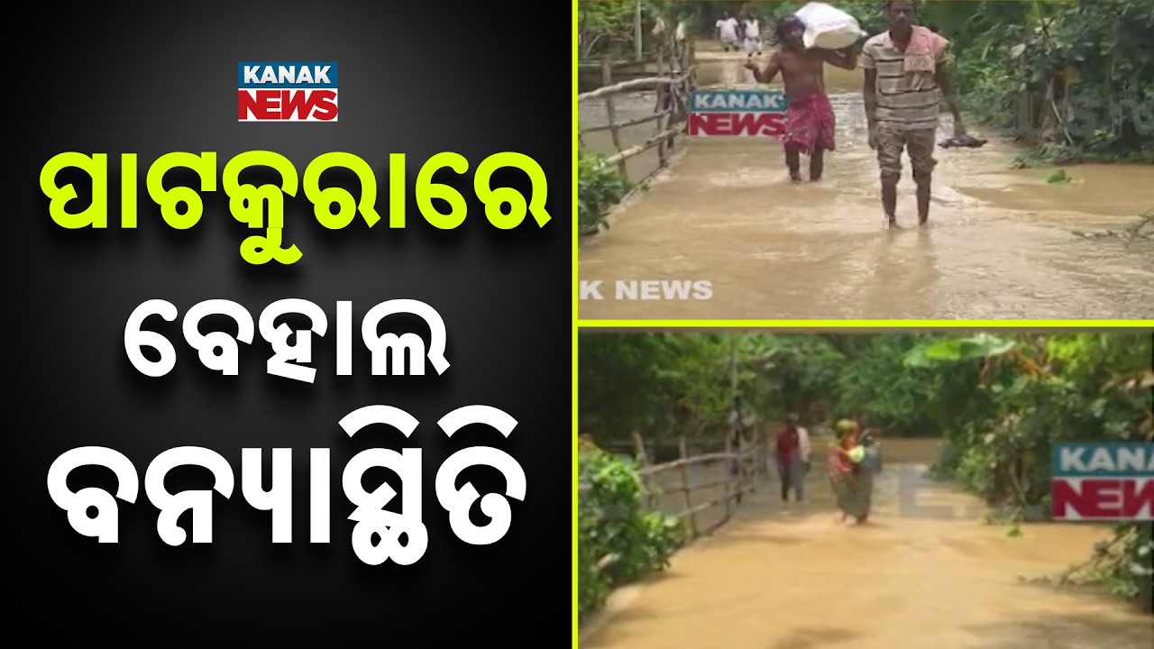Kendrapara Flood News | Patkura Faces Severe Flood Situation, Water Enters Homes