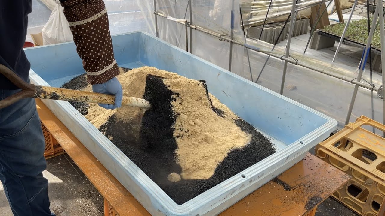 カチカチの土をフカフカにする方法！くん炭と米ぬか活用術