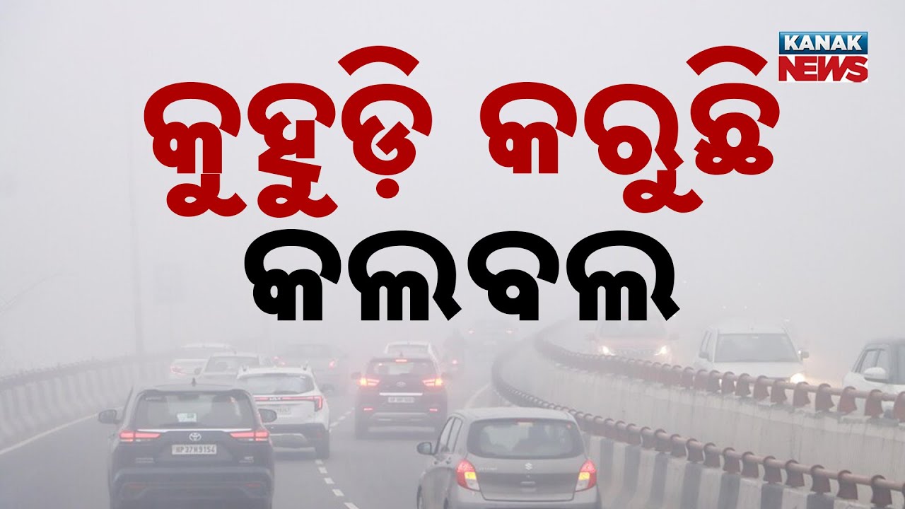Heavy Fog And Cold Wave Hits Odisha: Traffic Disruptions Reported