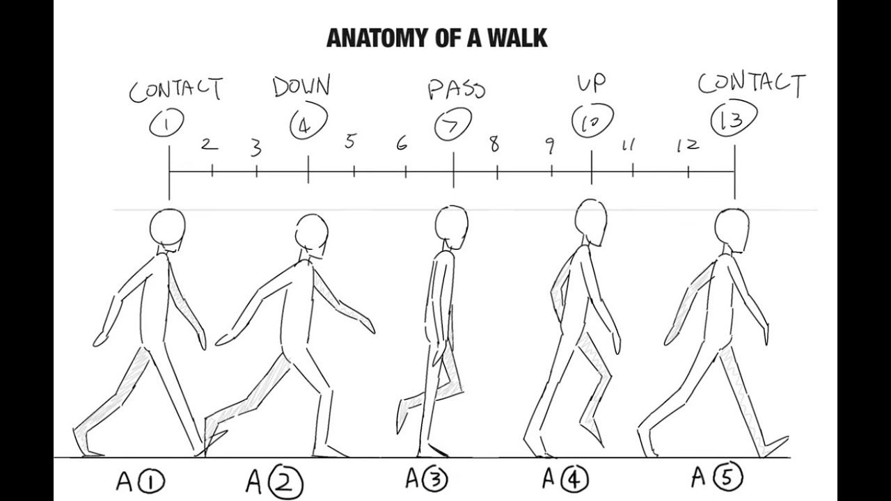 PT 1 Japanese walk cycle