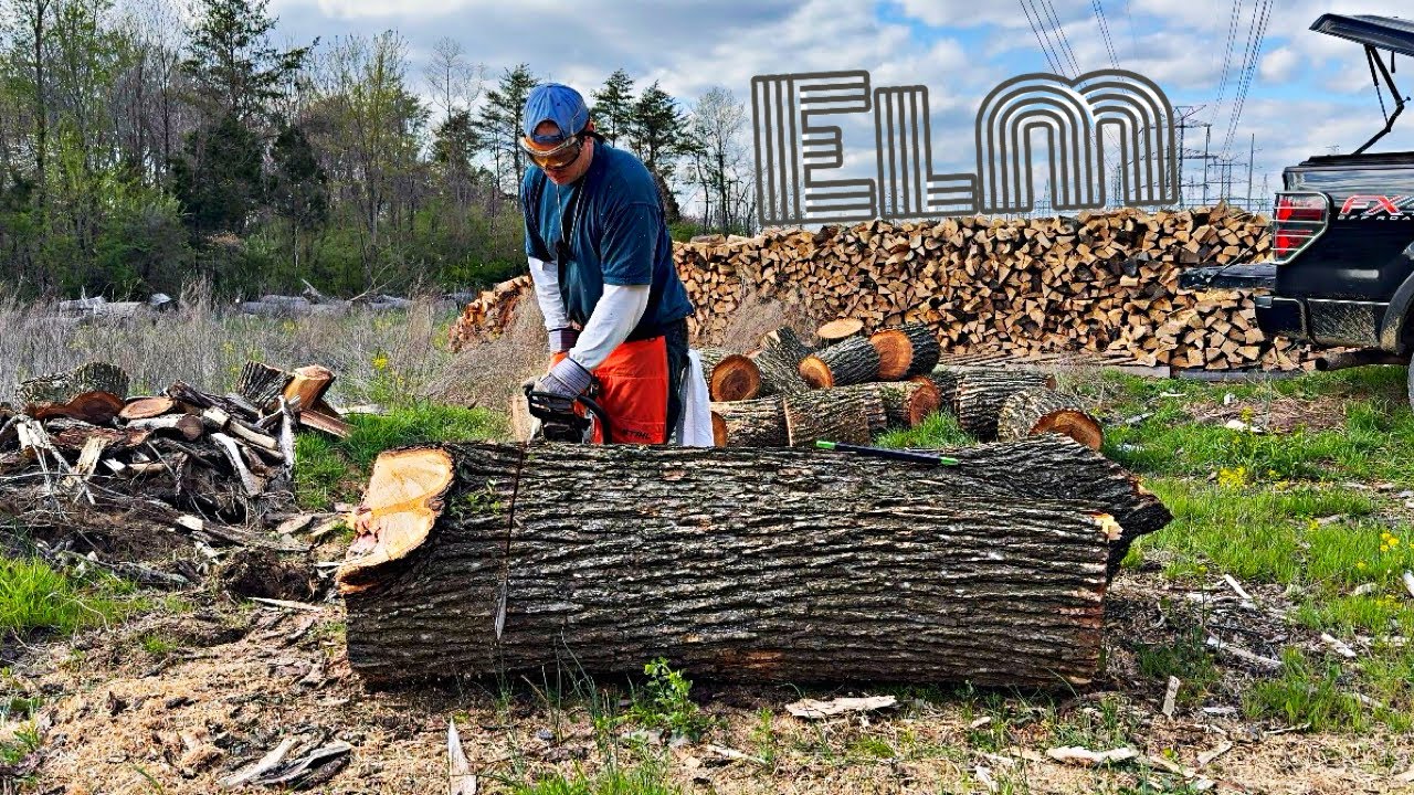 Elm Firewood vs Hyper Split Log Splitter