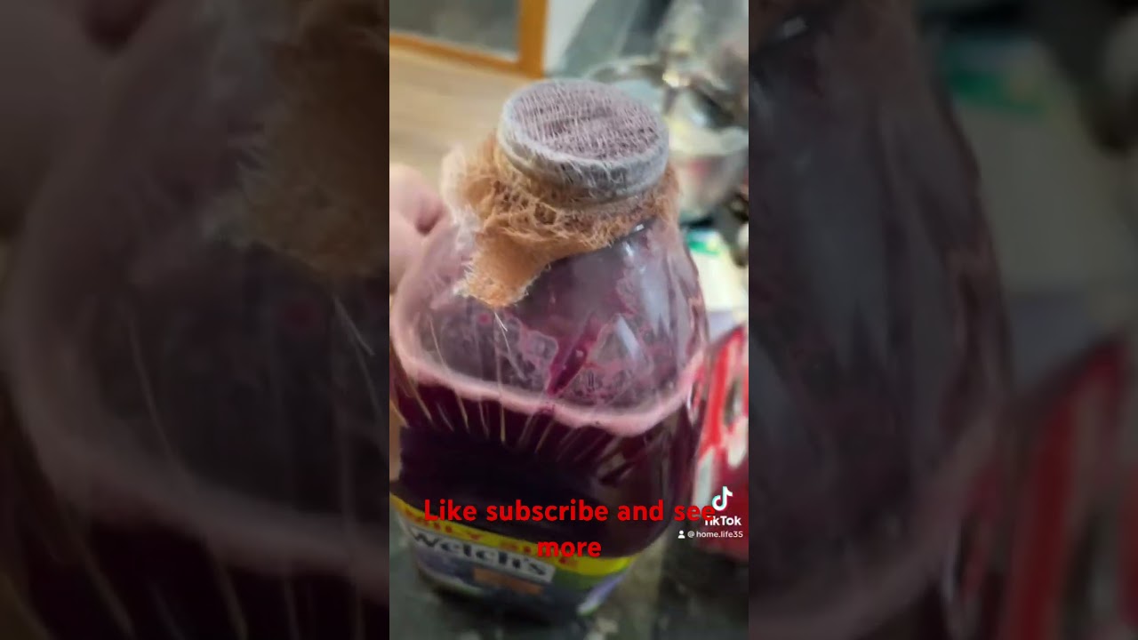 Welch&rsquo;s wine juice update. 10 days #diy #home #life